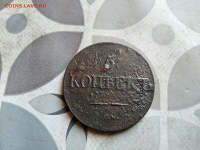 5 копеек 1831 СМ до 22.10.2023 - 1831 (11)