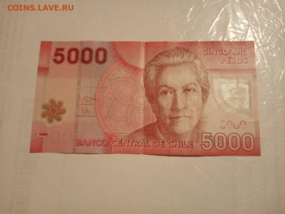 Чили 5000 песо до 20.10.2023 - чили 5000