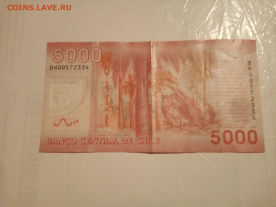 Чили 5000 песо до 20.10.2023 - чили 5000 1