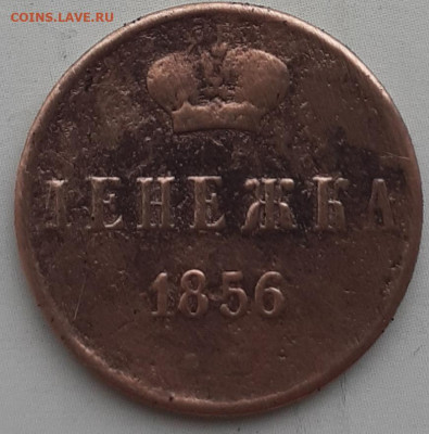 денежка 1856.  До 23.10.  22.00мск - 20231019_111601