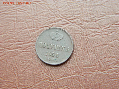 полушка   ЕМ 1855 до 25.10.2023 22:00 - DSCN2713.JPG