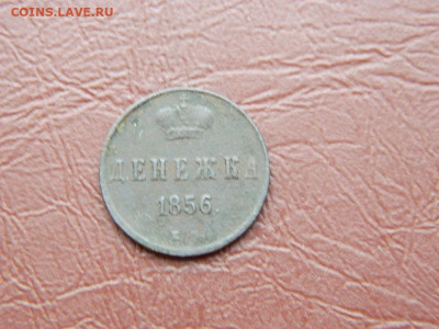 денежка  ЕМ 1856 до 25.10.2023 22:00 - DSCN2724.JPG
