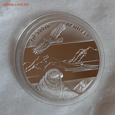 3р 2012 остров Врангеля, 31,1, до 29.10.2023 22мск - 20231021_133817