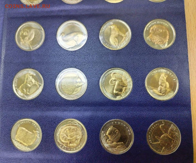 Турция 1 лира набор КРАСНАЯ КНИГА 20 монет - photo_12_2023-10-25_08-12-00