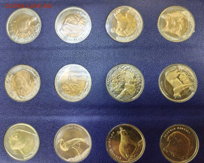 Турция 1 лира набор КРАСНАЯ КНИГА 20 монет - photo_11_2023-10-25_08-12-00