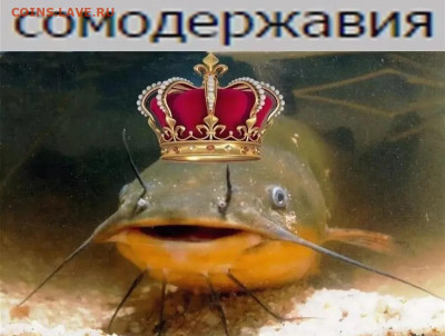Полушка 1707 г сомодержец - IMG_20231025_212502
