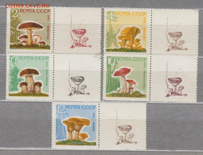 СССР 1964 грибы 5м с купонами ( купоны одинаковые) до 30 10 - 64гр2