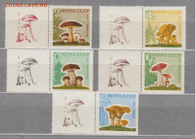 СССР 1964 грибы 5м с левыми одинаковыми купонами  до 30 10 - 64гр3