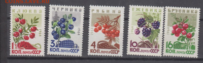 СССР 1964 ягоды 5м** до 30 10 - 64щ