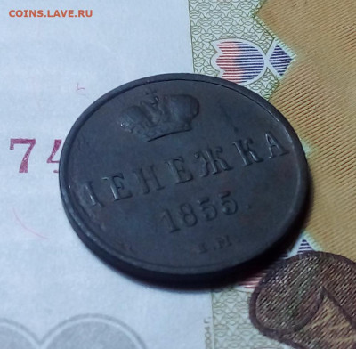 денежка 1855 до 29.10.23 в 22.00 по Москве - 20231025_191444