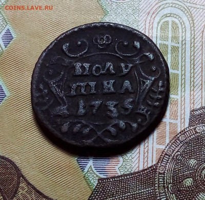 полушка 1735 до 29.10.23 в 22.00 по Москве - 20231025_193311