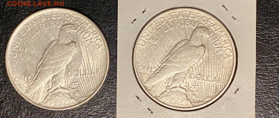 Предпродажная Доллар Мира 1922 и 1924 гг - IMG_7292