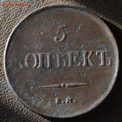5 копеек 1831 ем до 2 ноября 2023 - 2б13.JPG