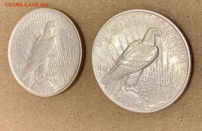 США доллар Мира 1922D и 1924 одним лотом с невысокого старта - IMG_7308