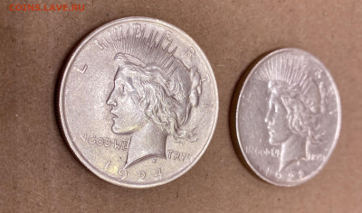 США доллар Мира 1922D и 1924 одним лотом с невысокого старта - IMG_7305