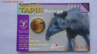 25 сен Малайзия 2003 Вымирающие виды - Чепрачный тапир - DSC04026.JPG