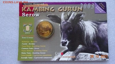 25 сен 2003 Малайзия Вымирающие виды - Cуматранский козёл - DSC04029.JPG