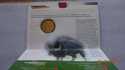 25 сен 2003 Малайзия Вымирающие виды -  Гаур - DSC04033.JPG