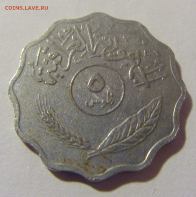 5 филс 1975 Ирак №2 05.11.23 22:00 М - CIMG8267.JPG