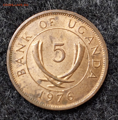 Уганда 5, 10 центов 1976 (магнитные). - 20231030_170249