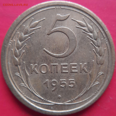 1955 – 5 коп. – до 22:00, 07.11.2023 - 1955-5 коп.-2