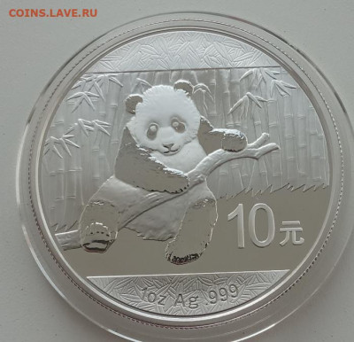 Китай 10 юаней 2014(панда) до 05.11.23 в 22-00. - IMG_20231102_115804