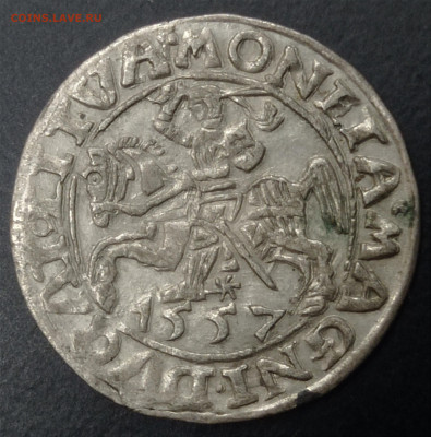 Польша 1557 г. Грош или полгроша ? - IMG_20231102_142045