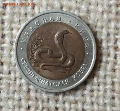 10 рублей Красная Книга 1992г Кобра   до 07.11.23г - IMG_5374.JPG