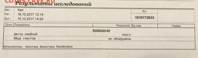 Ассоциация слов. - ЯГ