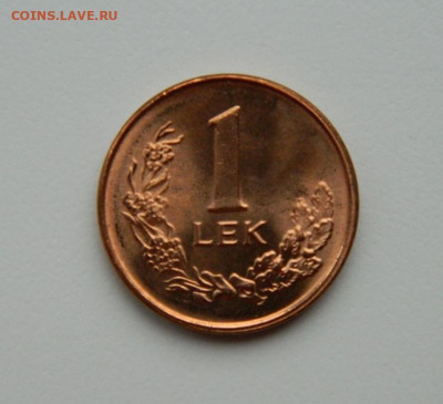 Албания 1 лек 1996 г. (Фауна) С рубля! до 12.11.23 - DSCN6817.JPG