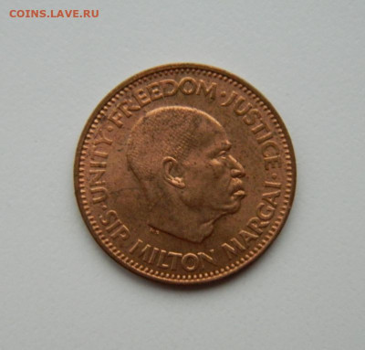 2 цента 1964 г. (Рыбы) С рубля! до 12.11.23 - DSCN6899.JPG