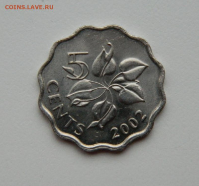 Свазиленд 5 центов 2002 г. С рубля! до 12.11.23 - DSCN6838.JPG