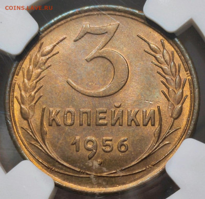 Монеты СССР в слабах NGC - Screenshot_20231106_193045_edit_121992285122993