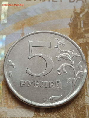 Подборка монет с выкусами - photo_2023-10-16_15-01-57