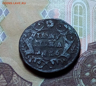 полушка 1736 до  09.11.23 в 22.00 по Москве - 20231107_163317