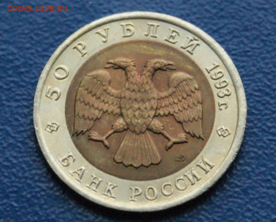 КК 50 рублей 1993 г. Туркменский эублефар до 13.11 - 35.2.6.JPG