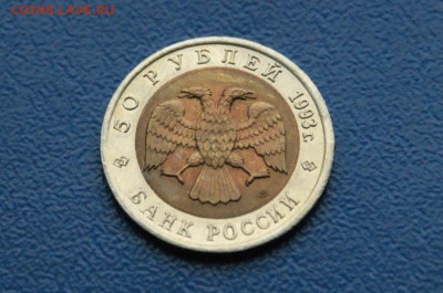 КК 50 рублей 1993 г. Туркменский эублефар до 13.11 - 35.2.1.JPG