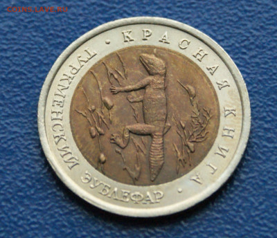 КК 50 рублей 1993 г. Туркменский эублефар до 13.11 - 35.1.7.JPG