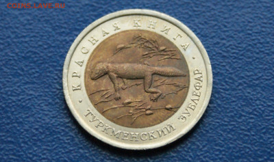 КК 50 рублей 1993 г. Туркменский эублефар до 13.11 - 35.1.5.JPG