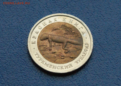КК 50 рублей 1993 г. Туркменский эублефар до 13.11 - 35.1.2.JPG