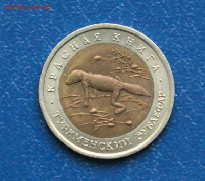КК 50 рублей 1993 г. Туркменский эублефар до 13.11 - 35.1.1. КК. 93 г. Э.JPG