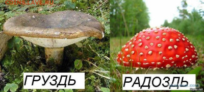 Юмор - 1699470597490