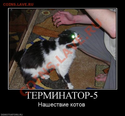 юмор - 841198_terminator-5