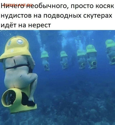Юмор - UvKUcSpiknM