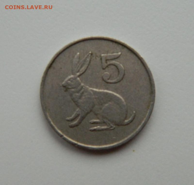 Зимбабве 5 центов 1990 г. (Фауна). С рубля! до 16.11.23 - DSCN7112.JPG