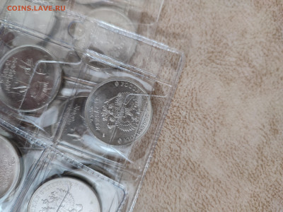 25 руб 2013,2014, год Сочи. талисман - 1698924006818