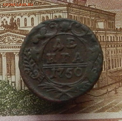 Денга 1750 г до 16.11 в 22.00 - DSCN4347.JPG