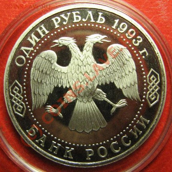 Д - верн-8.JPG