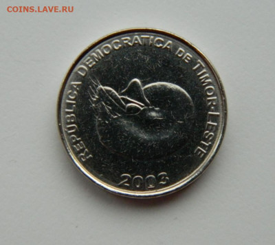 Восточный Тимор 1 сентаво 2003 г.(Фауна)С рубля! до 16.11.23 - DSCN7150.JPG