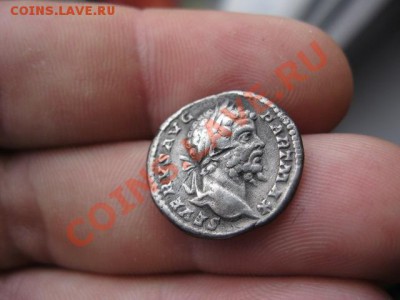 помогите определить денарии - IMG_1896